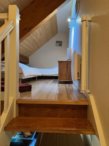Appartement Style Chalet A Saint Lary Soulan. エクステリア 写真